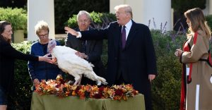 President Trump And First Lady Melania Host National Thanksgiving Turkey Pardoning Ceremony - DC